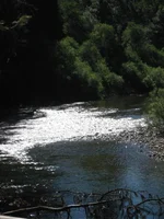 IMG_1538.webp IMG_1538.webp