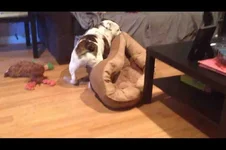 ImageUploadedByTapatalk1368105069.948285.webp