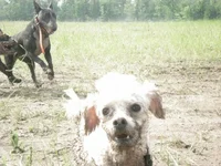 993894_10201033881142160_1603896069_n.webp