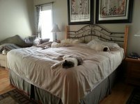 three in the bed 2.jpg three in the bed 2.jpg