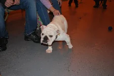 DSC_0070.webp