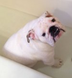 bath.JPG