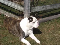 022.webp