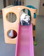 slide.webp