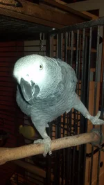 2012-02-18_17-51-41_318.webp 2012-02-18_17-51-41_318.webp