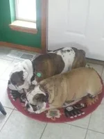 20130310_123556.webp