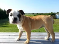 20130615_082430.webp