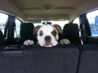 20130615_125800.webp