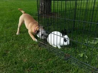 20130616_165823.webp