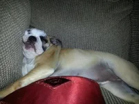 20130616_232529.webp