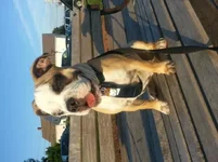 20130709_195845.webp