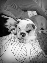 mombully2.webp