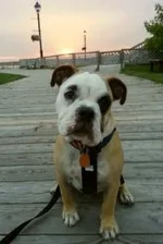 2013-07-11 21.05.37-1.webp