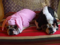 DSCF5393.webp