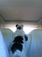ImageUploadedByTapatalk1368158044.758879.webp ImageUploadedByTapatalk1368158044.758879.webp