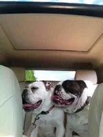 ImageUploadedByTapatalk1368158186.376617.webp ImageUploadedByTapatalk1368158186.376617.webp