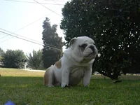 DSCN1968.webp