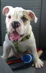 IMAG0675_cropped.webp