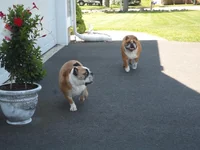 2013-06-15 12.08.53.webp