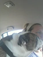 uploadfromtaptalk1368278164622.webp
