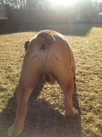 2013-03-13 08.57.02.webp