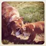 IMG_1385.jpg IMG_1385.jpg