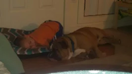 ollie-huntersleep.webp