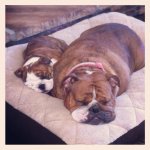 IMG_1158.jpg IMG_1158.jpg