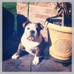 IMG_1471.jpg IMG_1471.jpg