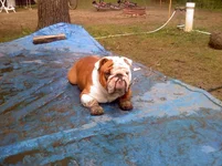 07240016541.webp