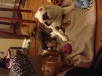 image.webp