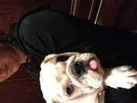 image.webp