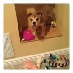 vbulletin_temp_upload.webp