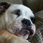 IMG_20130714_194209.webp