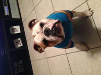 photo 1.webp