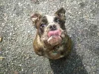 ImageUploadedByTapatalk1373855966.565903.webp