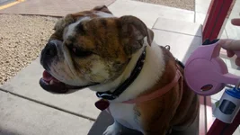 WP_20130508_002.webp