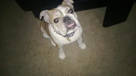 WP_20130516_001.webp