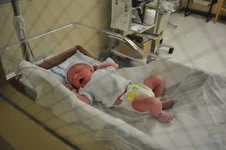 Aubrie.webp