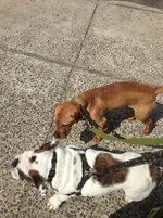 2013-04-16 11.13.35.webp