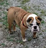 Maude 9 mo..webp