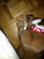 sleep.webp