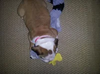 20130706_131445.webp