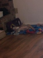 20130707_075524.jpg