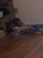 20130707_075524.webp