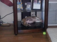 20130714_132553.webp
