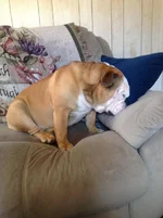 2013-07-07 16.06.33.webp