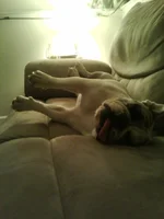 2011-09-10 21.25.26.webp