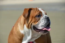 DSC_0764.webp