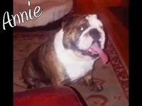1372692936_annie.webp
